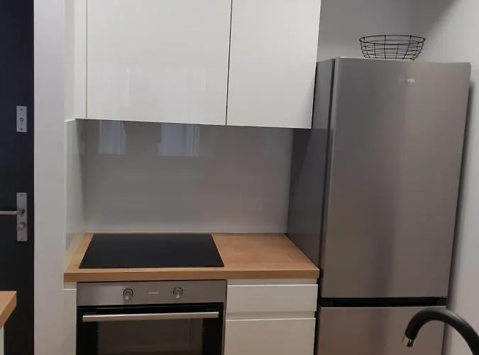 Alta Apartment Split